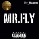 Fly_Warrior - Confused