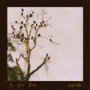 The Glass Hours & Megan Barbera & brad armstrong - Colorado ()