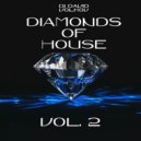 Dj David Volkov - Diamonds of House Music 2.0