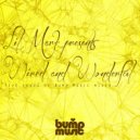 Style of Eye - Whizkid (Larry Fives Whiz Bang Pop Mix)