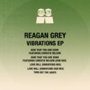 Reagan Grey & Sean Jones - Love Will (Vibrations Dub Mix)