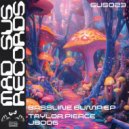 Taylor Pierce - Party (Radio Edit)