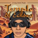 A Guy Called Purple - Temple Of Echoes (Original Mix)