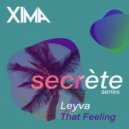 Leyva - That Feeling (Radio Edit)