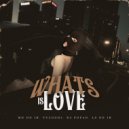 Vulgo DJ & MC Mn do IB & Dj Fofao USA & LS do IB - What is Love (feat. LS do IB) ()