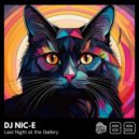 DJ Nic-E - Last Night at the Gallery