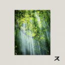 Resonant Circuits & Vybeshift - Where The Light Falls