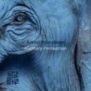 Astral Wanderer - Spectral Decomposition (Original Mix)