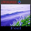 Ultra Funkular Sound - Bluebells ()