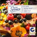 Dj Science - Loose (Radio Edit)