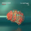 Oravla Ziur - Da Wall (Original Mix)