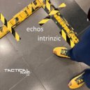 Intrinzic - Echos