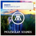 Amar N - Surrender To Light (Extended Mix)