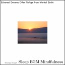 Sleep BGM Mindfulness - Breathing Deep, Finding Solace in Inner Visions