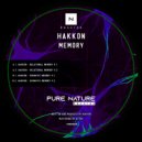 Hakkon - Semantic Memory I