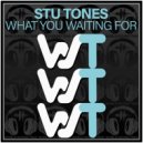 Stu Tones - What You Waiting For