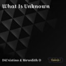 Dicristino & Meredith O - What Is Unknown ()