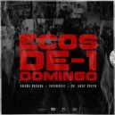 Araña Rosada & Dr. Andy Green & Ivoxmusic - ECOS-D-1-DOMINGO
