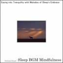 Sleep BGM Mindfulness - Whispers from the Silent Moonlight (Original Mix)