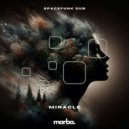 Spacefunk Dub - Miracle (Original Mix)