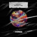 MDISKO - Without You (Extended Mix)