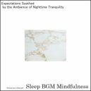 Sleep BGM Mindfulness - Nature\'s Echo Brings Solace to Hearts Fraught with Insomnia (Original Mix)