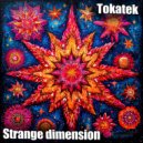 Tokatek - Srange dimension (Original Mix)