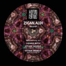 Hakan Vreskala & Zigan Aldi - Other World (Original Mix)
