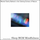 Sleep BGM Mindfulness - Whispers from the Heart with Lullabies of Mental Balance