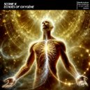 scone k - Release Yourself ()