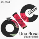 David Herrero - Una Rosa (Instrumental)