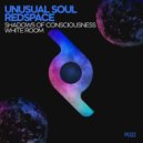 Redspace, Unusual Soul - White Room (Original Mix)