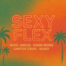 Shain Wong & Santos Cruel & Kleeo & Nigel Angus - Sexy Flex ()