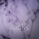 Nautis - Fibonacci Parade