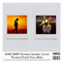 Alwz Snny feat. Sincerely Collins - Polaroid Picture