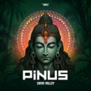 PiNUS - Shiva Valley (Original Mix)