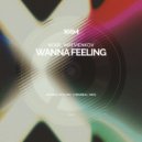Nobe, Matvienkov - Wanna Feeling (Original Mix)