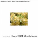 Sleep BGM Mindfulness - Soothing the Heart with Harmonious Slumber's Embrace