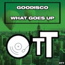 GooDisco - What Goes Up (Original Mix)