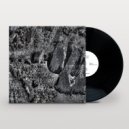 Coaxial System - Institut (Stephen Disario Remix)