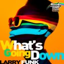 Larry Funk - What's Going Down