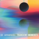 antoanesko - Transient Moments (Original Mix)