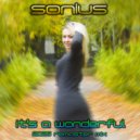 Sonius - It\'s A Wonderful (Original Mix)