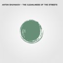 Anton Shumakov - The cleanliness of the streets (Remix)