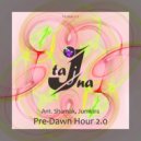 Ant. Shumak & Jumkins - Pre-Dawn Hour 2.0 ()