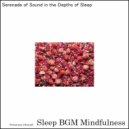 Sleep BGM Mindfulness - Journey Within with Melodies of Sound Therapy and Calm