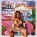 E-LEVELZ - I wanna Know Why ()