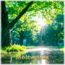 Sonic Scope - Meltwater ()
