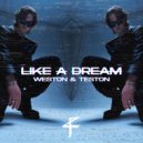Weston & Teston - LIKE A DREAM (Original Mix)