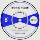 Richard Vission - Can\'t You See (Original Mix)